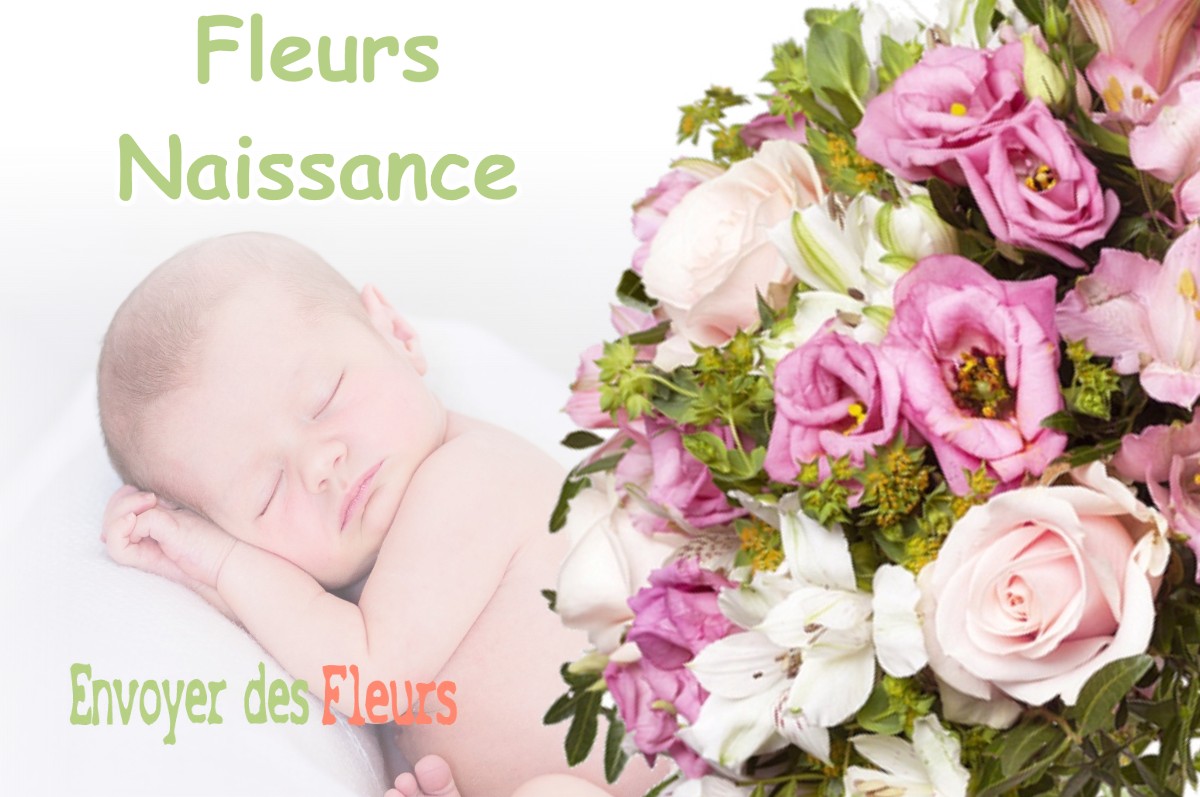 lIVRAISON FLEURS NAISSANCE à SAINT-DENIS-DE-L-HOTEL