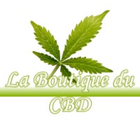 LA BOUTIQUE DU CBD SAINT-DENIS-DE-L-HOTEL 